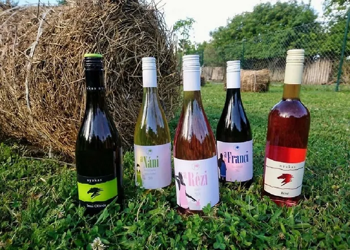 Gæstehus Zsambeki Vendeghaz -anno1815- *