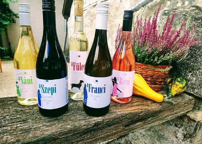 Zsambeki Vendeghaz -anno1815-